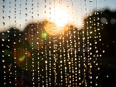 Rain shower backlit showing drop pattern