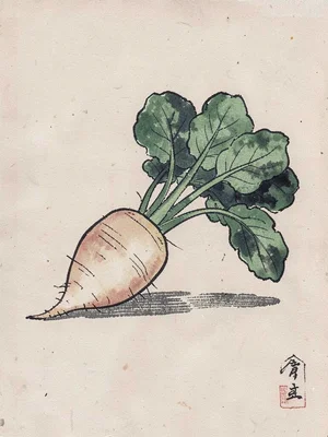 Daikon radish with greens still attached, side view on plain ground