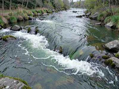 River bend showing outer faster current