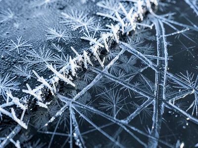 Ice forming at the edge of still water showing plate crystals