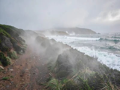 Coastal path in moderate spray
