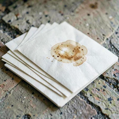 Folded paper coaster set fanned across a stone counter, deep score-lines, faint