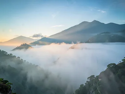 Clear to fog transition conditions