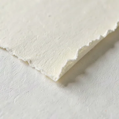 Macro of cream paper torn along a deckle edge revealing fiber bloom