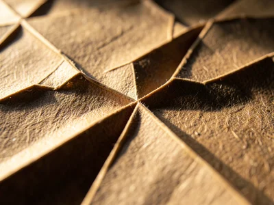Crease pattern on unfolded origami paper, mountain and valley fold lines creatin