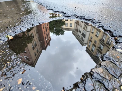 Rain puddle edge where water meets dry pavement, meniscus line creating border b