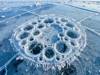 Methane bubble cluster frozen in rosette pattern