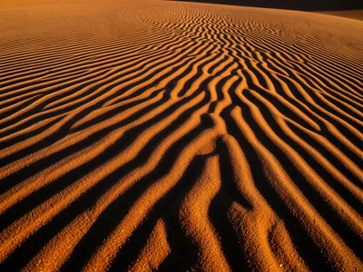 Sand ripple field in extreme raking sidelight, every ripple casting its own shad