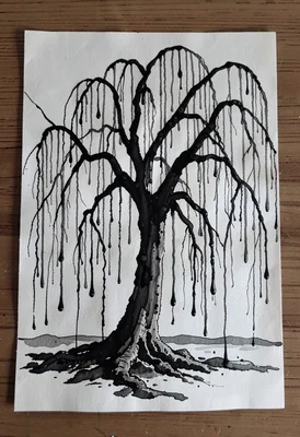 Weeping willow drip