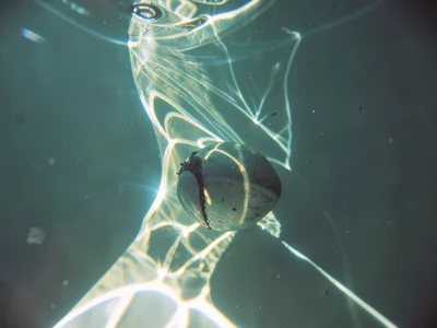 Caustic lighting submerged object