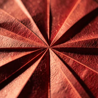 Base fold pattern of traditional crane in red washi, star pattern of intersectin