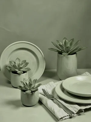 Sage green tableau, succulents, linen napkin, ceramic plates, olive tinted light