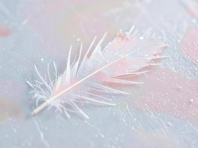 Ice-feather plume sprawling diagonally across a 4cm patch of pale ice, its quill