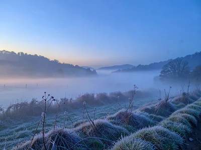 Field edge where frost meets fog creating transition