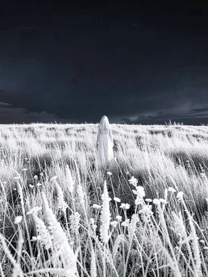 Tall grass field with a single figure standing at center, grass white as winter 