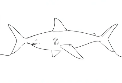 Shark swimming continuous line