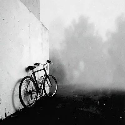Stark minimalist composition, high contrast black and white tones, A bicycle lea