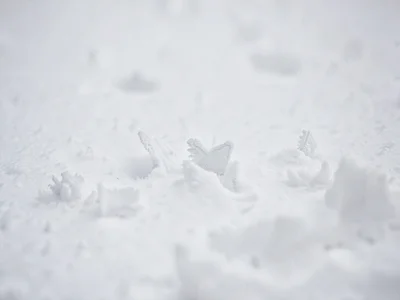 Snow crystal visible on surface closeup