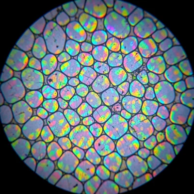 A marble thin section in cross-polarized light — mosaic of large calcite grains 