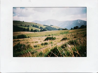 Landscape soft Polaroid