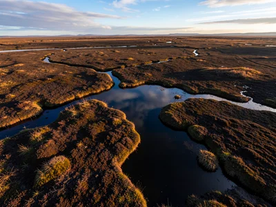 Blanket bog from above — vast flat dark surface with meandering drainage channel