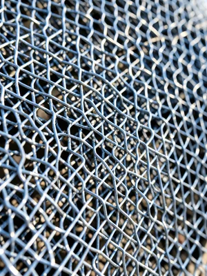 Woven wire fish sculpture in summer light, delicate scales, shadow play