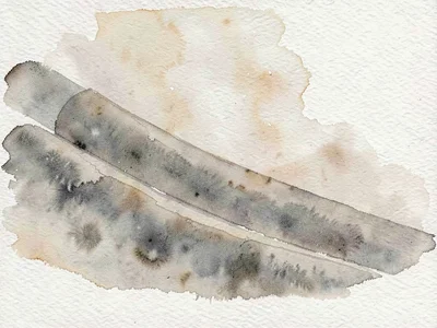 Slope of fine ash rolls in long quiet folds beneath a slow drift of suspended du