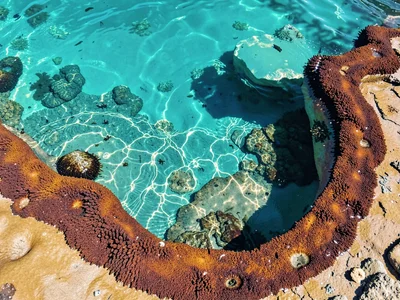 Turquoise water meeting rust bacterial edge
