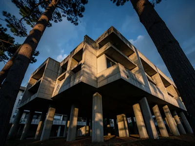 A Corbusier-style pilotis supporting a residential block, the forest of concrete