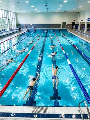 An Olympic swimming pool during training, eight lanes with swimmers creating dia