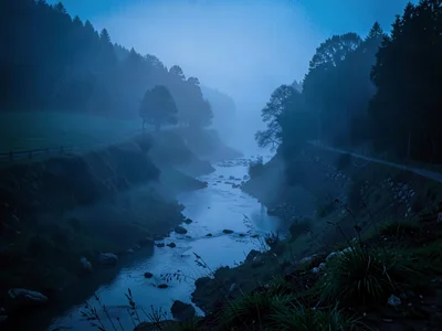 Stream valley with fog following watercourse exactly