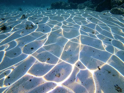 Caustic pattern on white sand bottom