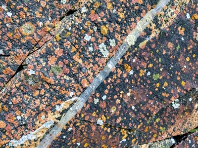 Quartz vein cutting through darker granite
