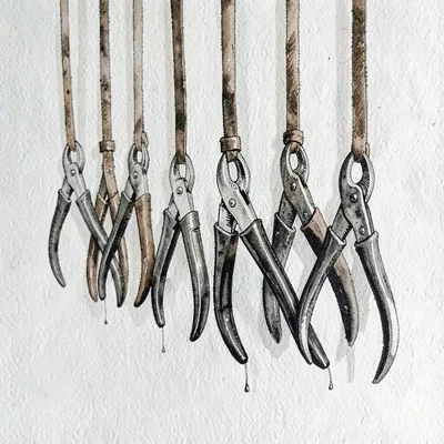 Ink study of a row of pruners and shears hanging from leather thongs, paper-toot