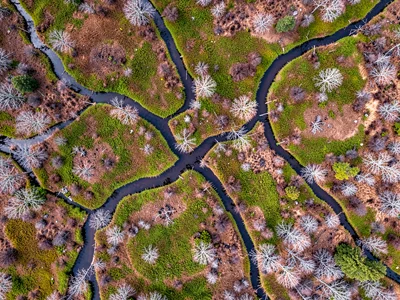 Natural drainage pattern creating branching dark channels