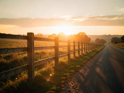 Old wooden fence along a country road, sunset painting everything amber, long sh