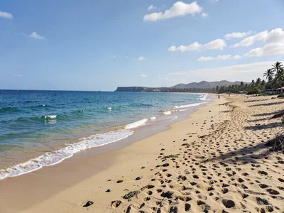 Beach coastline panoramic