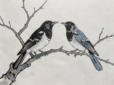 Two crows perched on a bare branch, facing opposite directions