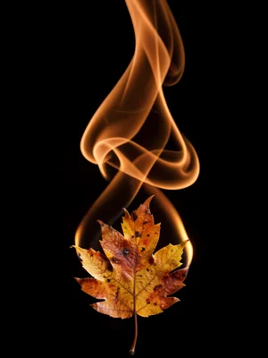 Burning leaves rendered as orange brown ascending wisps
