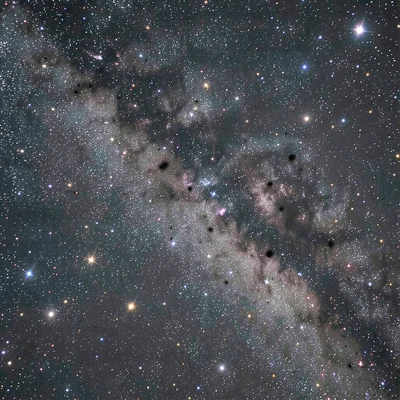 A dense star-forming region with dark Bok globules — small dark knots of gas and