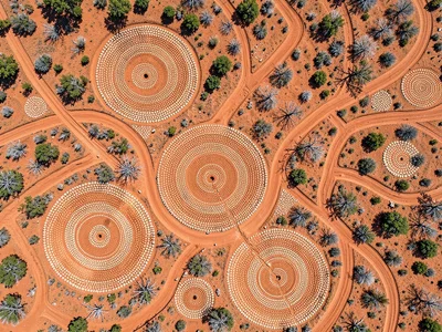 Dried riverbed from above — branching channels like journey lines across terraco
