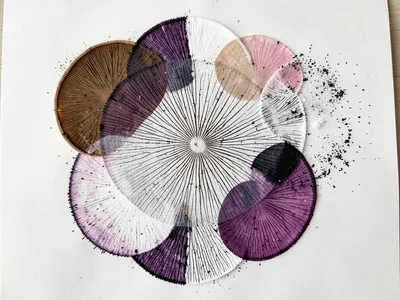 Multiple overlapping spore prints from different species: brown, white, and purp