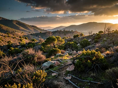 Recovery landscape in dramatic afternoon light