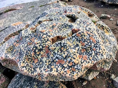Coastal granite showing salt weathering