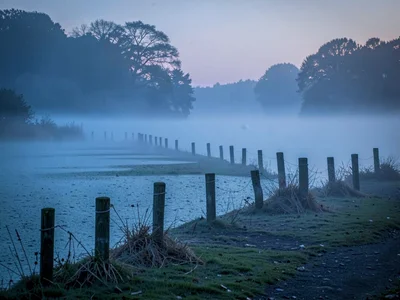 Vineyard posts emerging as rhythm from fog surface