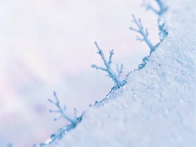 A freezing-water edge meeting cold air at a curved diagonal, dendrite tips probi