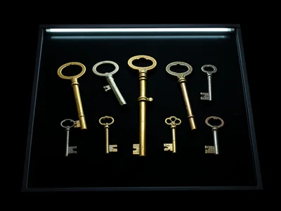 Collection of old skeleton keys arranged on a scanner bed, brass patina glowing 