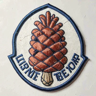Embroidered patch illustration, Pinecone detailed , merit badge aesthetic, embro