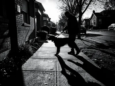 Dog walker silhouette at magic hour, long shadows on sidewalk, anonymous figure 