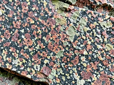 Grain size variation in granite body